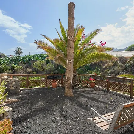 Modern In With A Shared Pool *